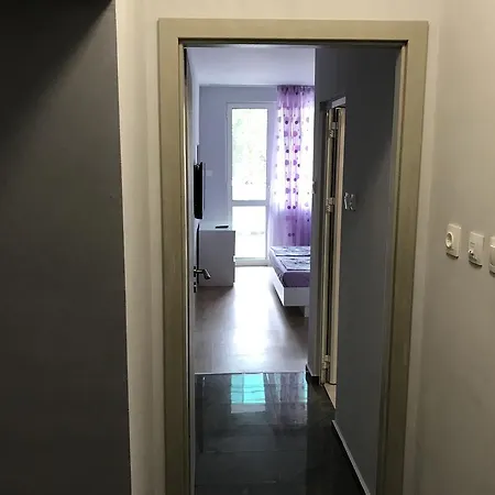 Purple Flat 