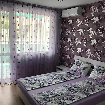 Purple Flat 
